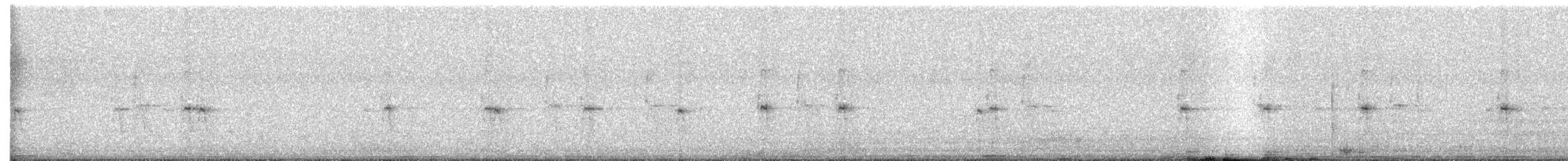 Zorzal Americano - ML648974754