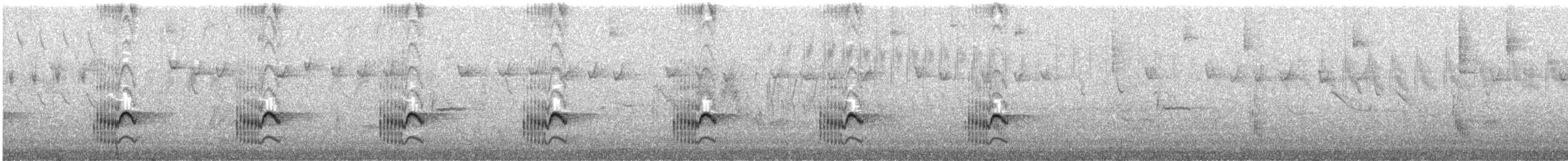 Churrín Sombrío - ML648974922