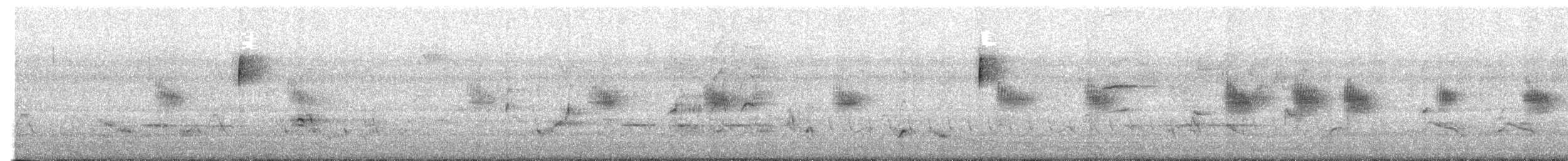 Golondrina Aserrada - ML648975396