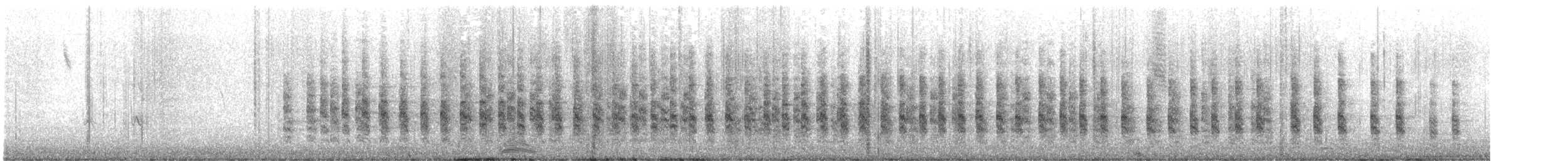 Rascón de Ridgway (levipes) - ML648976418