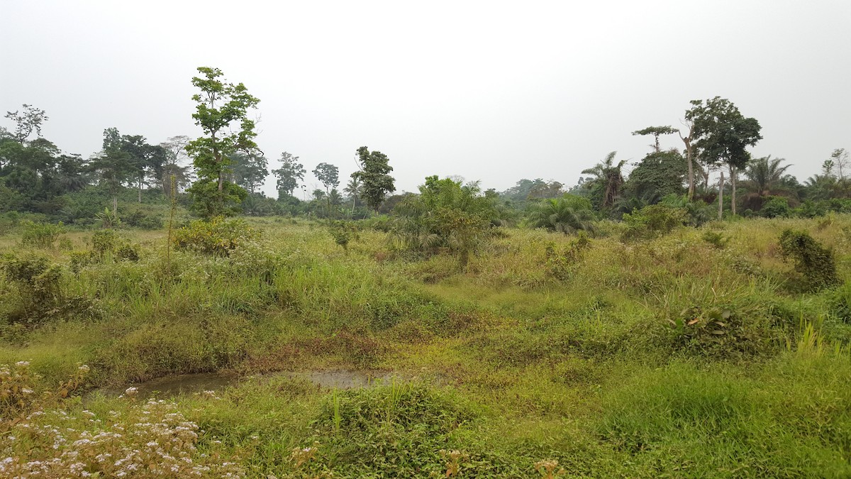 Not specified - Daniel Casey