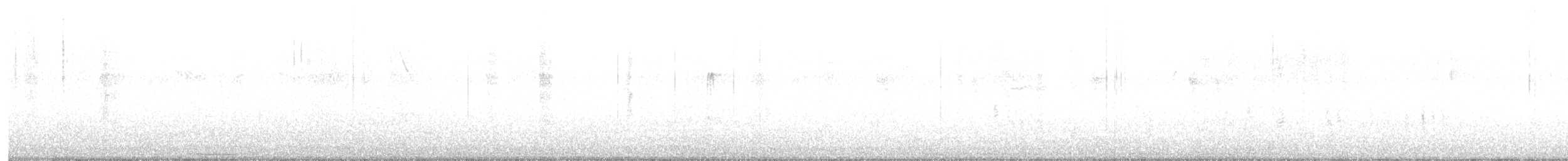 Common Grackle - ML648978267