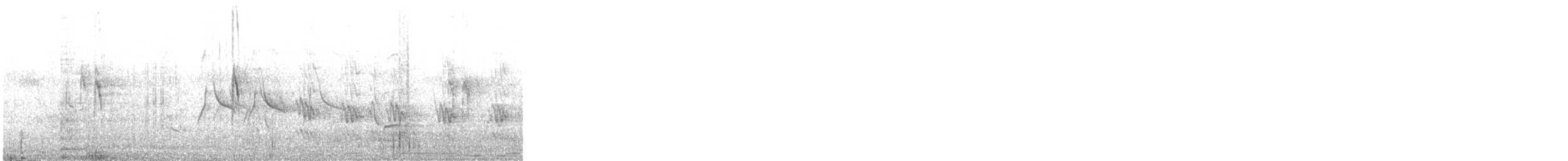 Ballerina bianca (alba/dukhunensis) - ML648982482