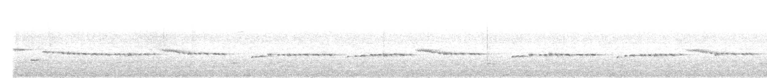 Gray Gerygone - ML648982507