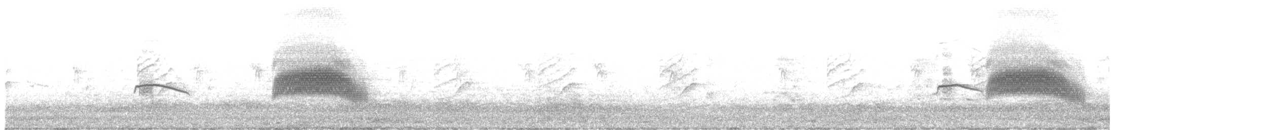 Verdone - ML648982535