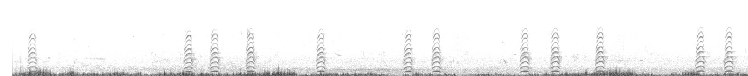 Pied Stilt - ML648982555