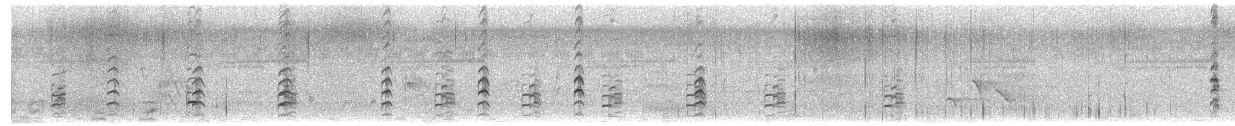 Cavaliere d'Italia - ML648982780