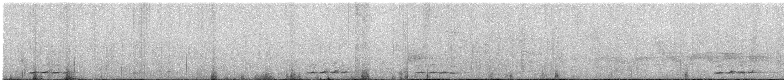 White-browed Scimitar-Babbler - ML648983048