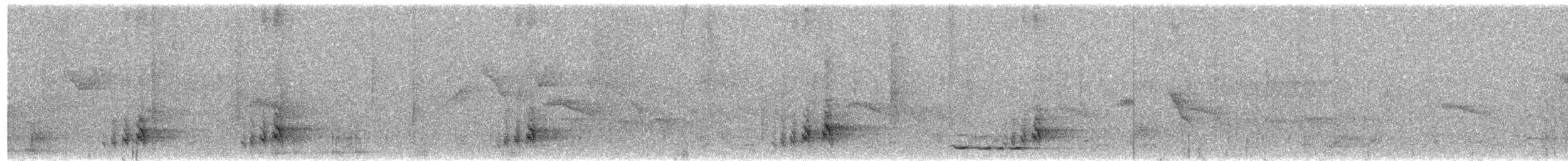 Collared Babbler - ML648983056