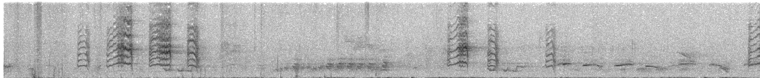 Collared Babbler - ML648983057