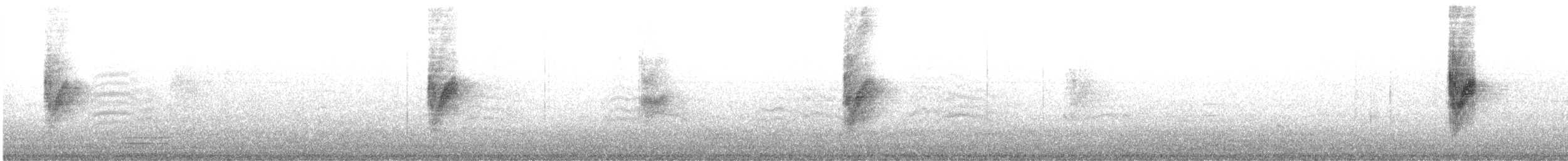 Pettazzurro - ML648983190