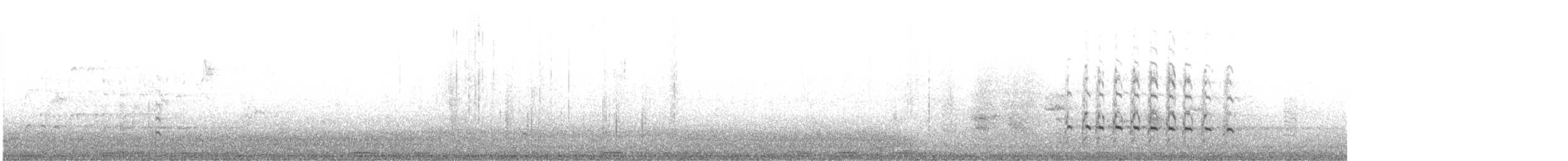 Chiurlo piccolo (phaeopus) - ML648983196