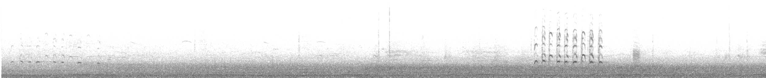 Chiurlo piccolo (phaeopus) - ML648983197