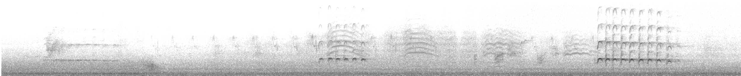 Chiurlo piccolo (phaeopus) - ML648983200