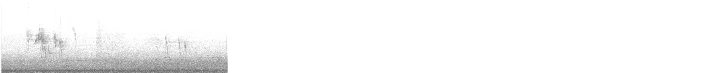 Ballerina bianca (alba/dukhunensis) - ML648983202