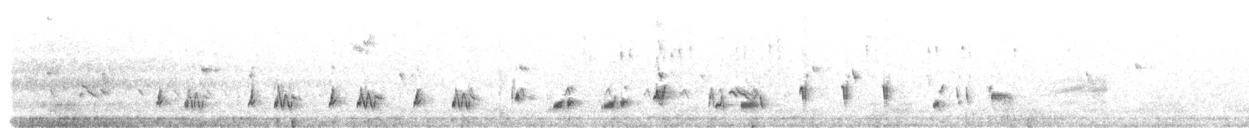 California Thrasher - ML648983312