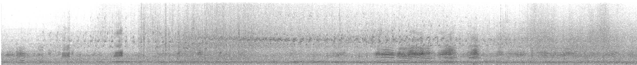 綠頭鴨 - ML648983361