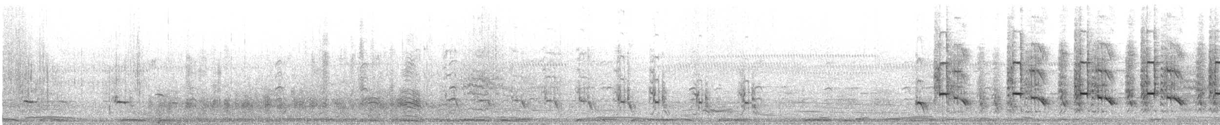 Gray Francolin - ML648983370