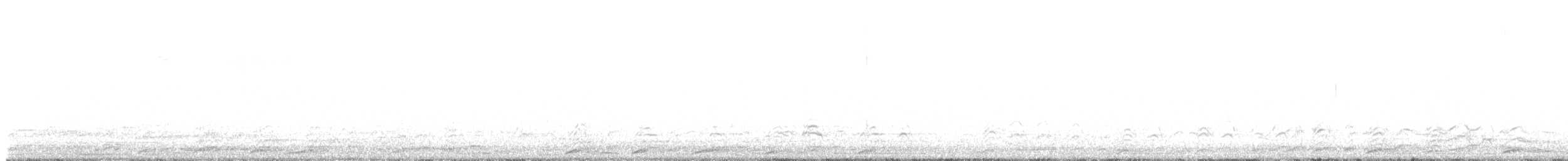 Coyote - ML648983406