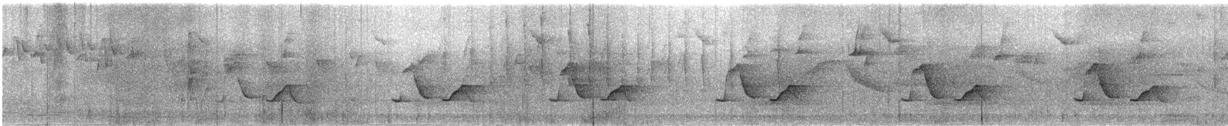 Gray-breasted Wood-Wren - ML648986617