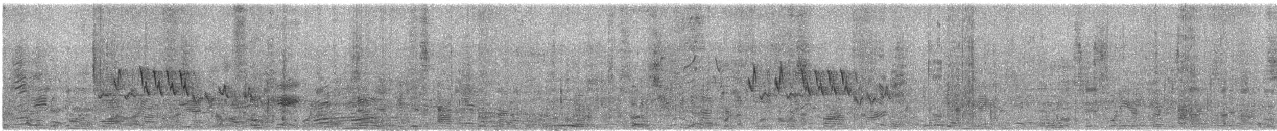 Southern House Wren - ML648986761