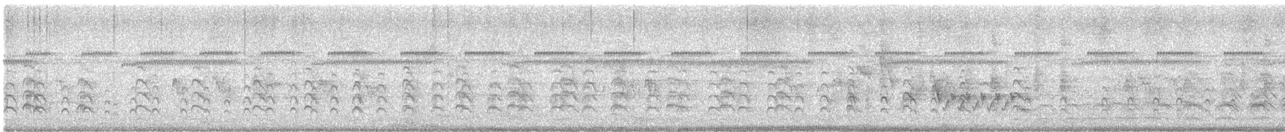 Southern Lapwing - ML648986855