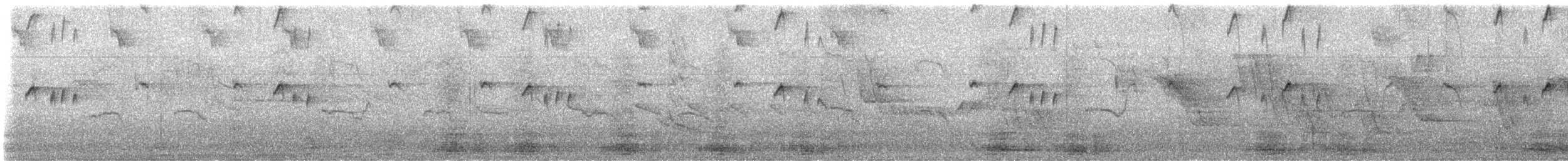 Tropical Kingbird - ML648987634