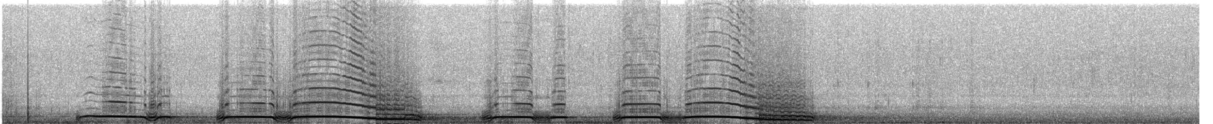 アメリカフクロウ - ML648995275