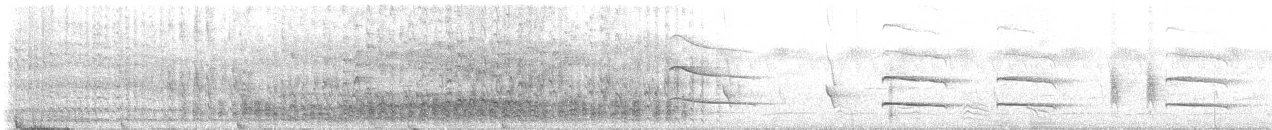 African Gray Hornbill - ML648995641