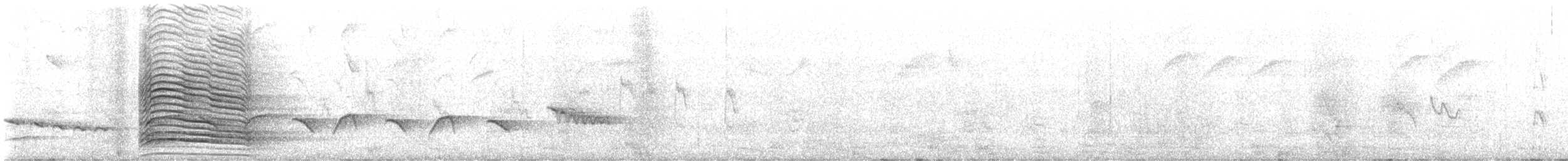 Bearded Scrub-Robin - ML648995700