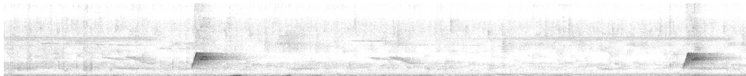 Türkisfeenvogel - ML648998073