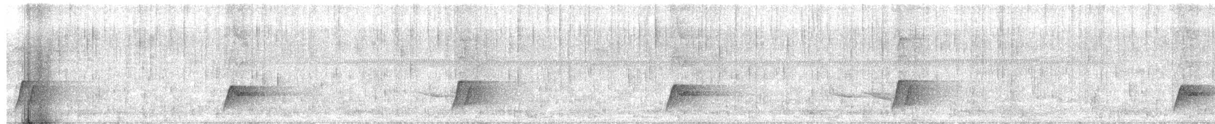 Türkisfeenvogel - ML648998136