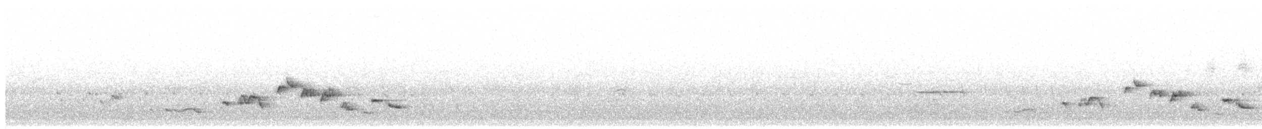 Fauvette à calotte noire - ML648999697