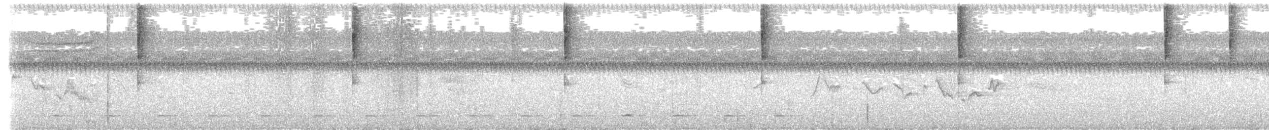 Brillengrundammer - ML649008802