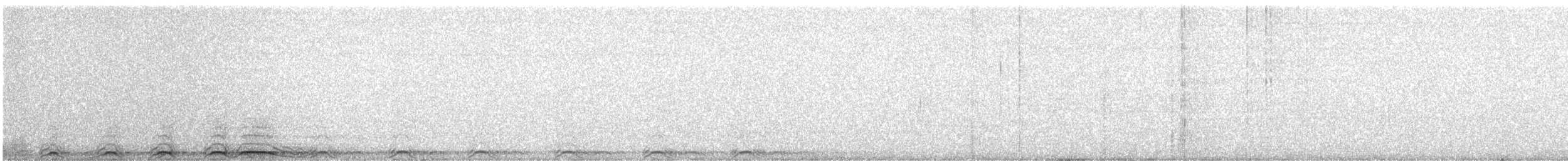 アメリカフクロウ - ML649009717