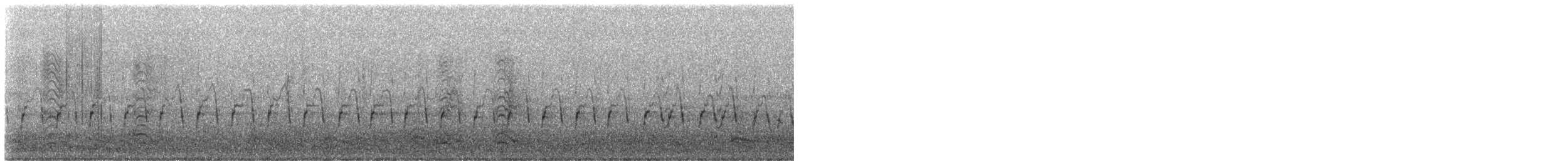 Western x Clark's Grebe (hybrid) - ML649016122