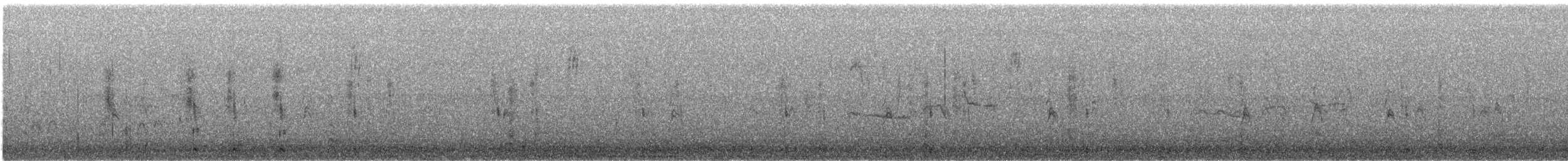 Northern Shoveler - ML649016238