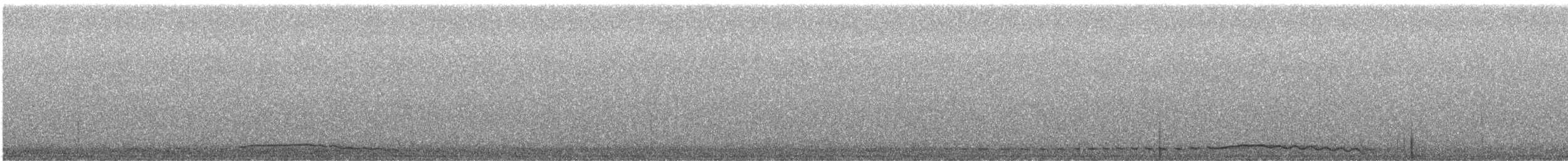 Eastern Screech-Owl (Northern) - ML649016292