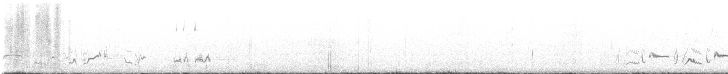 LeConte's Thrasher - ML649018856