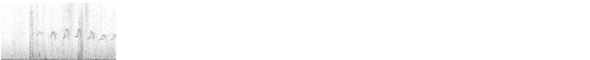 Tropical Gnatcatcher - ML649019894