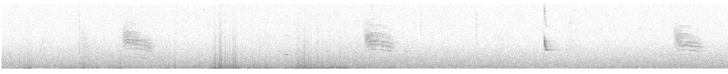 Tropical Gnatcatcher - ML649020082