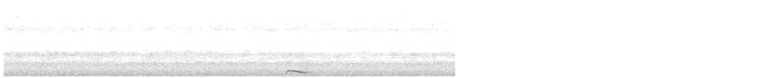 Collared Scops-Owl - ML64902321