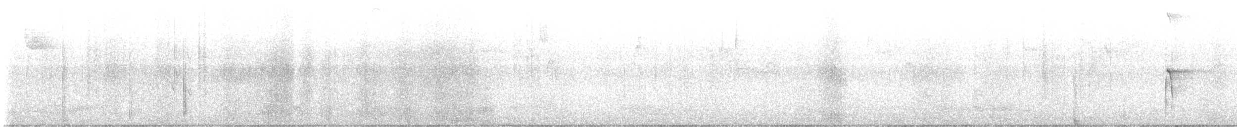 strakapoud americký - ML649024221