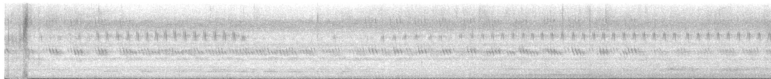 Dschungelzwergkauz - ML649024703