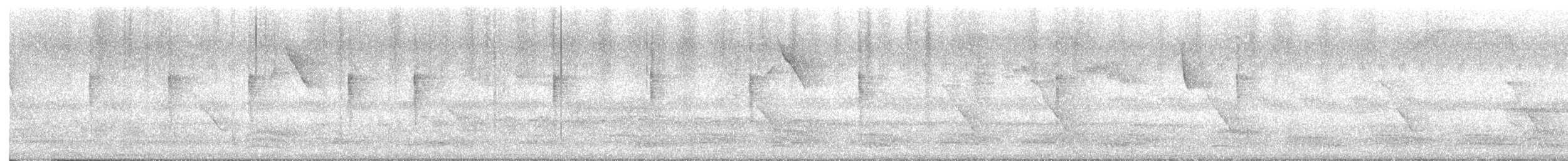 Blassschnabel-Mistelfresser - ML649024715