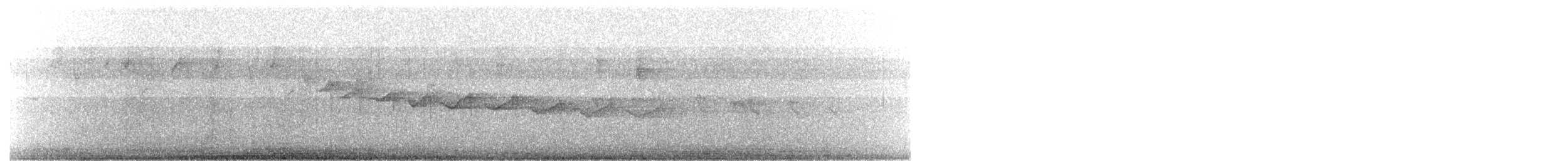 South American Leaftosser (Andean) - ML649025761