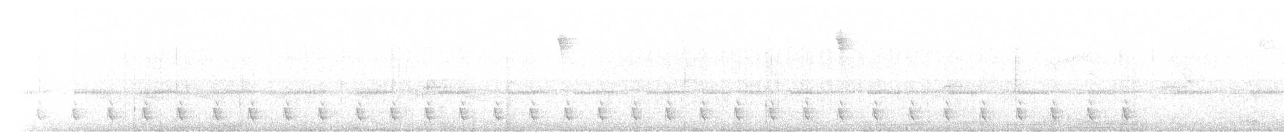 Blackish Tapaculo - ML649027804