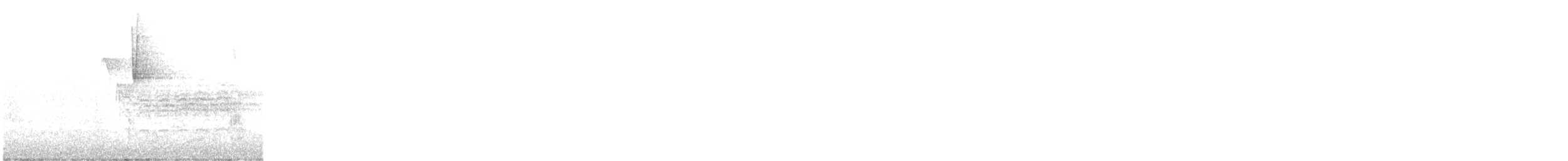 Каролинская гаичка - ML649032143