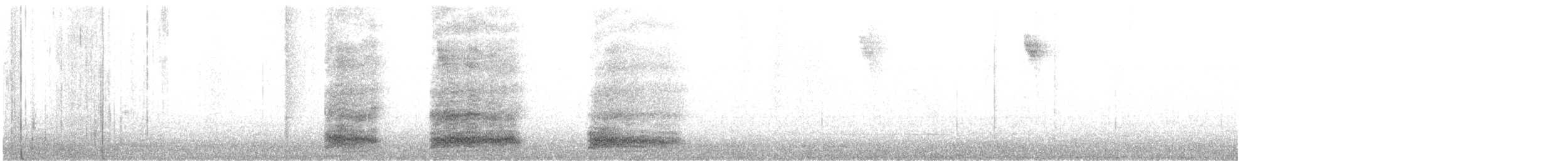 Little Blue Heron - ML649035285