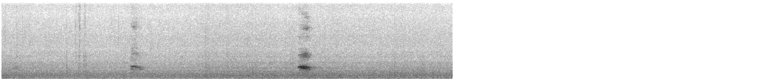 Yellow-crowned Night Heron - ML649035307